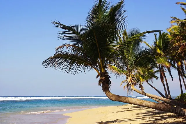 https://seraphicowebtravel.es/viajes/assets/upload/d2298.webp